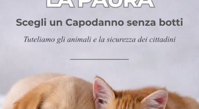 Capodanno senza botti