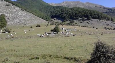 Prato di Campoli