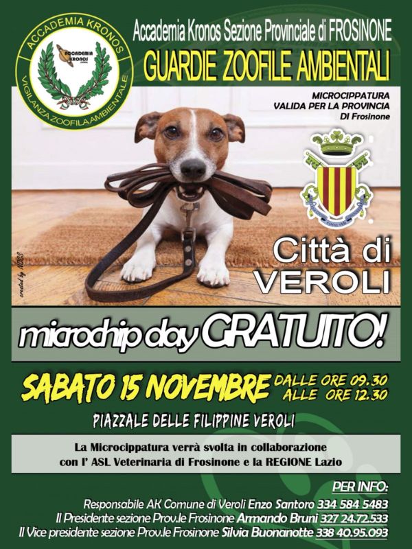 Microchip gratuito